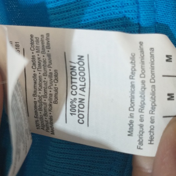 NWT size medium ladies blue Boston terrier short sleeve T-shirt excellent cond. - Picture 5 of 6